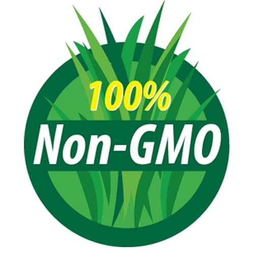 Miniatura 4 de Trigo blanco suave – orgánico – 2.5 libras. Bolsa resellable – Marca Handy Pantry – Perfecto para almacenamiento de alimentos, harina, hornear,