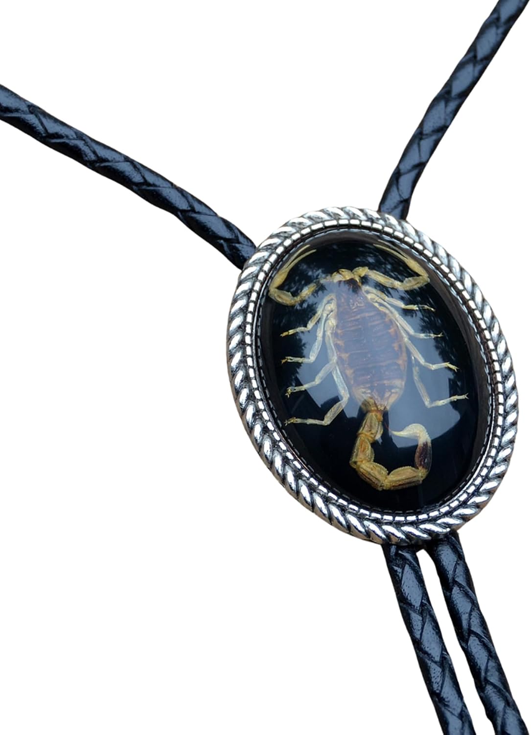 Scorpion Bolo Tie - Humanely and Sustainable Obtained