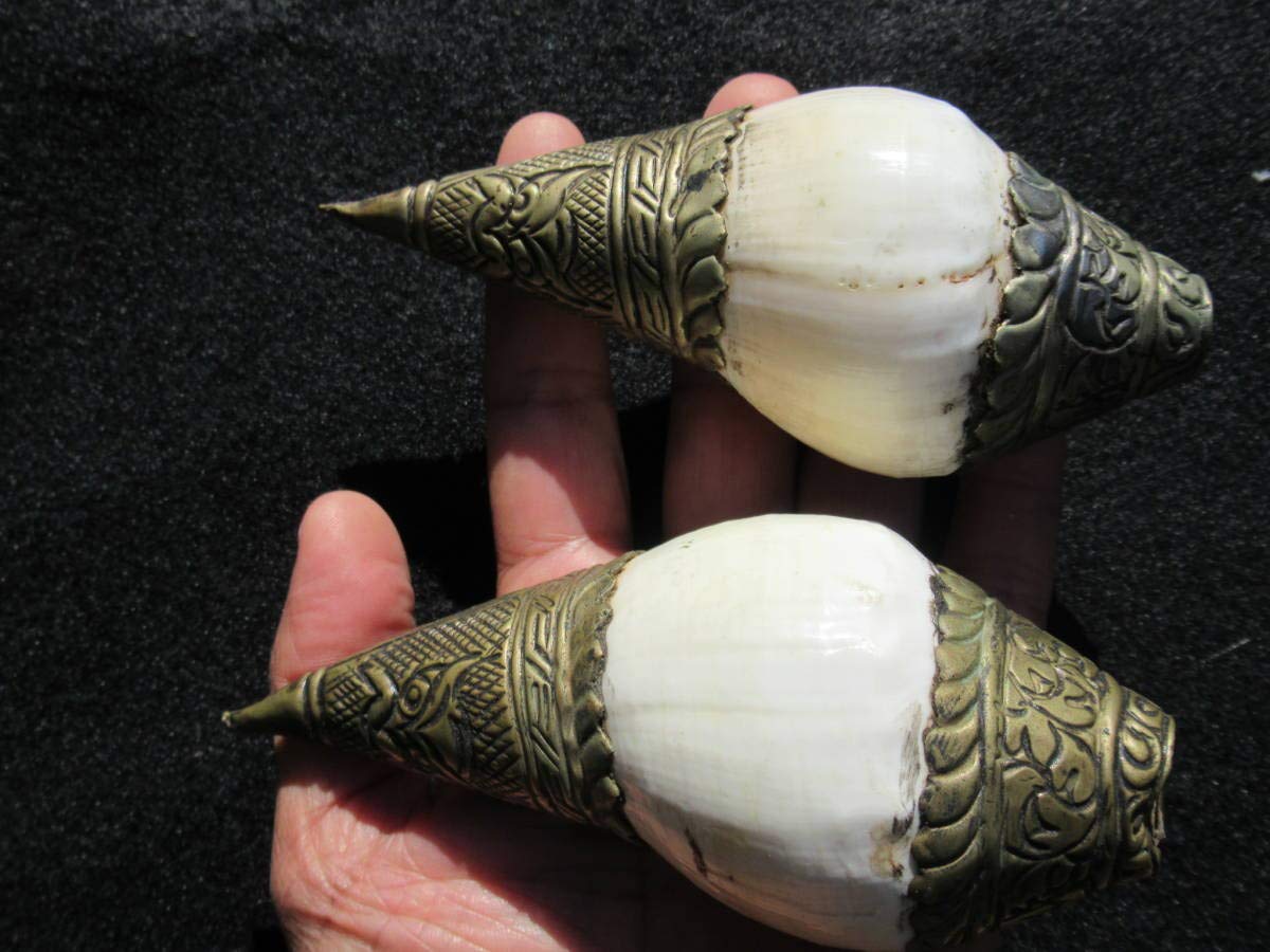 Amazon.co.jp: チベット仏教の法具シャンク貝の笛ペア