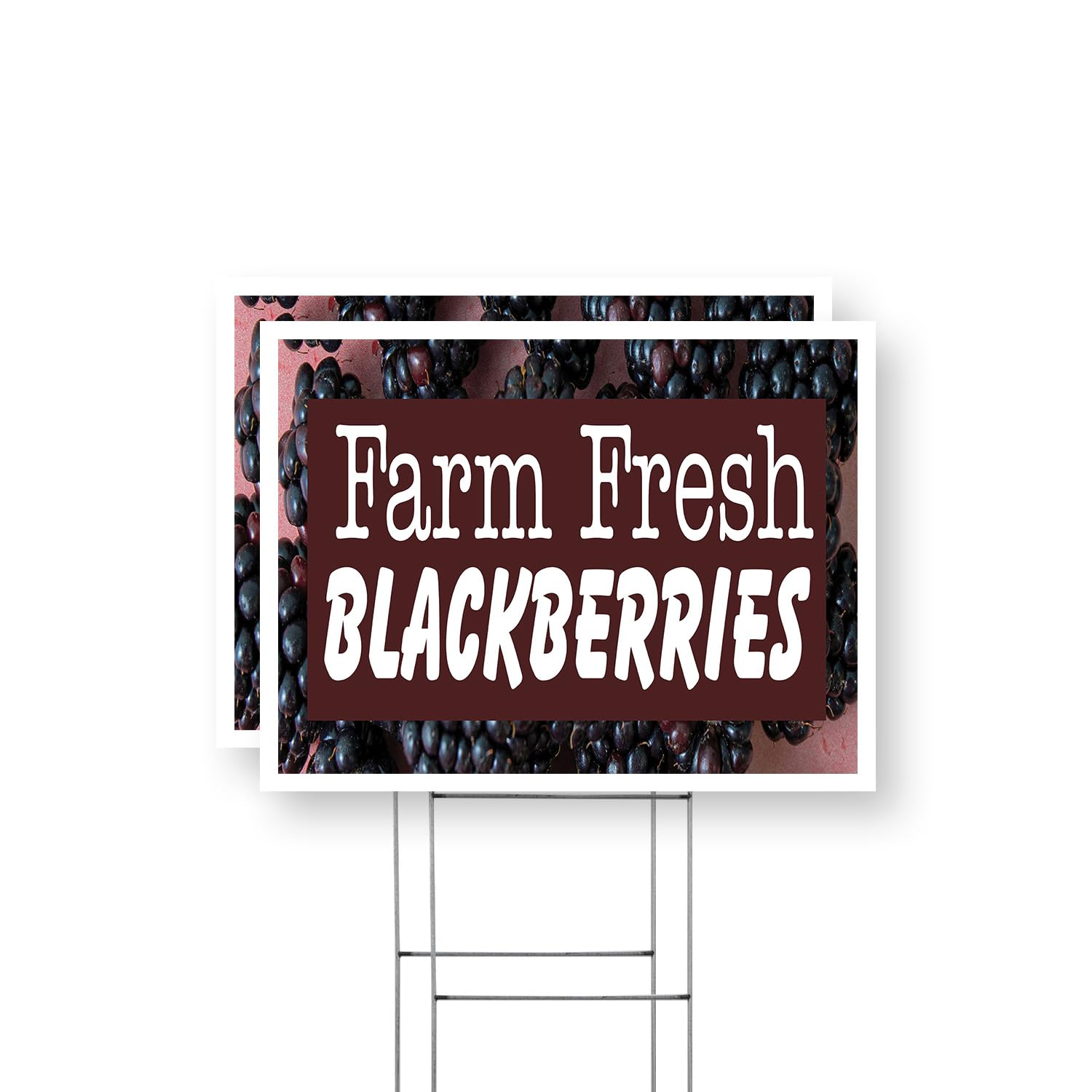 Farm Fresh Blackberries Yard Sign 2 Pack of 18 Inch x 24 Inch Double Sided Weatherproof Heavy-Duty Plastic with Stake | Fresh Berries, Local Produce,