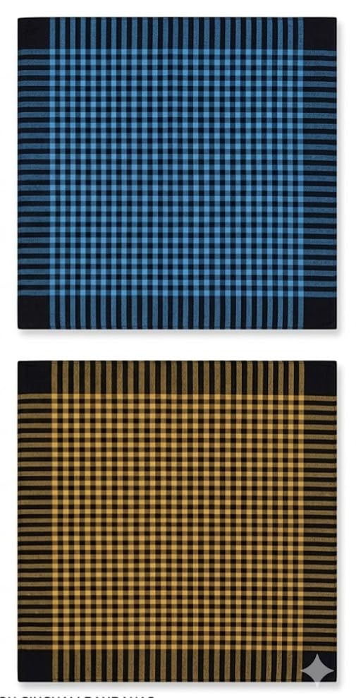 Safe Products Lunch Box Towels for School Kids Kitchen Cleaning Towels 50 cm x 50 cm Pack of Multicolor Tiffin Towel (2)