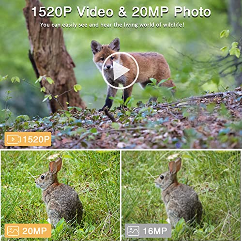 Ezetai Wildlife Cameras With Night Vision Motion Activated Waterproof-Trail Camera 1520P 20Mp Game Camera No Glow Infrared Led 120°Wide Angle Lens For Wildlif Monitoring #TOP5