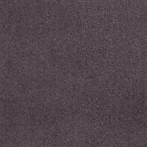 () XNGA2400 \ 10 [ FF2411  CeA Ƌ ^C J[ybg  tA  FF2411-1