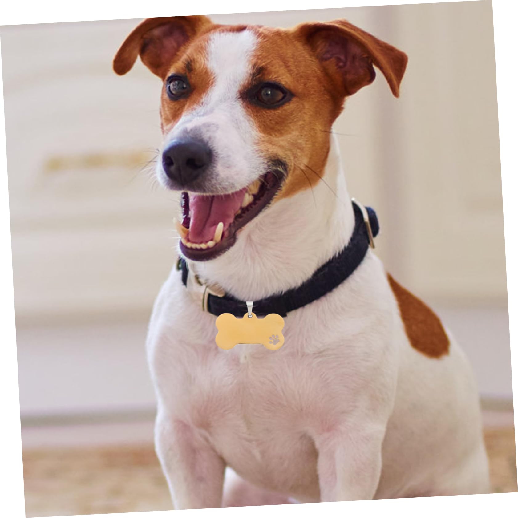 HANABASS 15 Pezzi Animali Domestici Etichette Per Cani Portatili Ciondoli Per Collare Per Cani Etichette Per Del Cane Per Fai Da Te Per Vuote Per Incisione