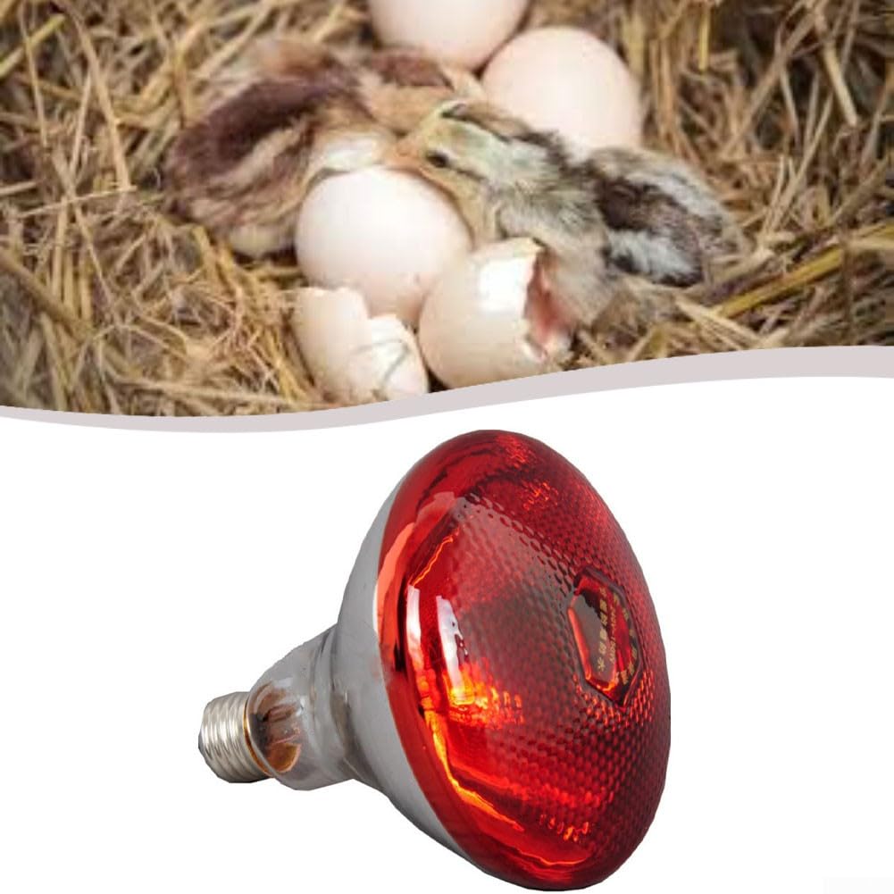 Red Infrared Heat Lamp,for Chickens,Brooders & Reptiles – 110V E27 Base Incandescent Bulb with Quartz Glass,5000-Hour Lifespan(Red Saffron 175W) — view 8