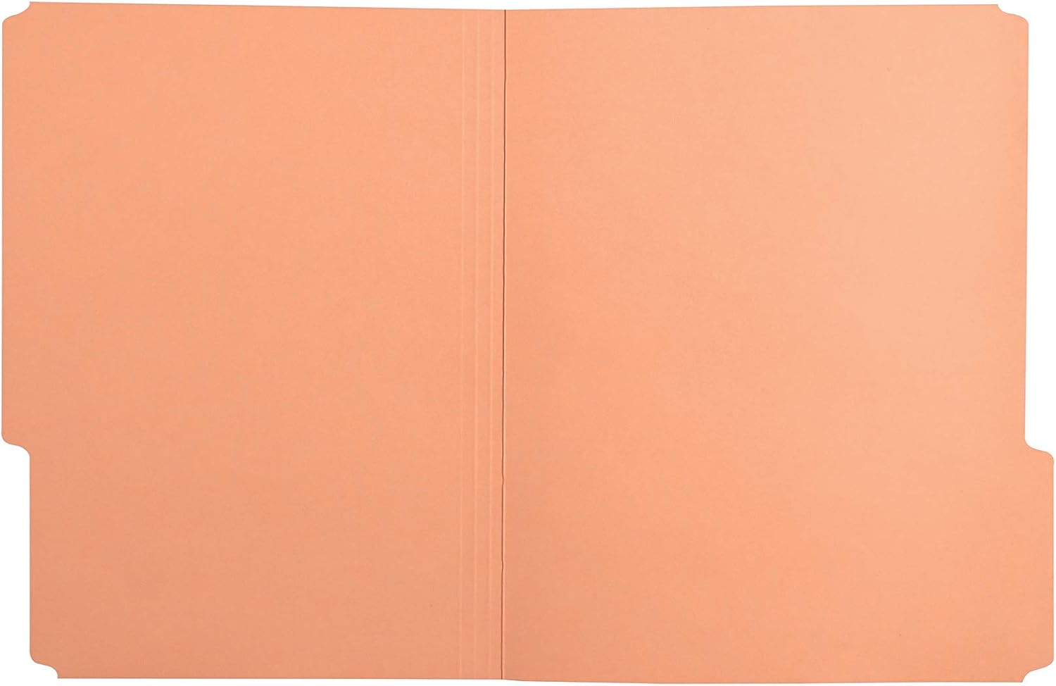 Amazon Basics File Folders, Letter Size, 1/3 Cut Tab, Orange, 36-Pack