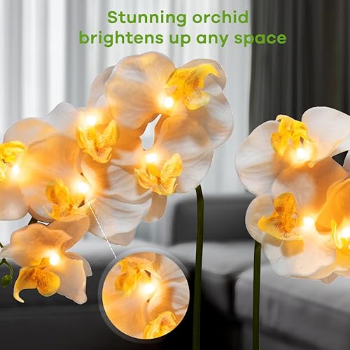 Miniatura 3 de Lámpara de orquídea con arreglos de orquídeas iluminadas LED, orquídea artificial preiluminada, luces de flores iluminadas, arreglo de falaenopsis