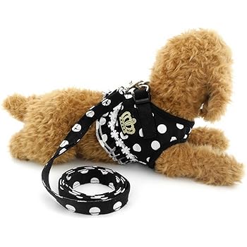 Amazon Ranphy 超小型犬 小型犬 猫 胴輪 ハーネス リード セット 通気性 可愛い ドット柄 クラウン フラウンス付き ブラック S Ranphy ハーネス 通販