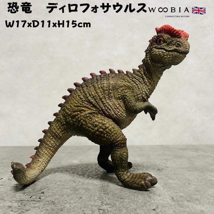 商談中高品質クンツァイト スフィア 強キャッツアイ強シラーキラキラ約