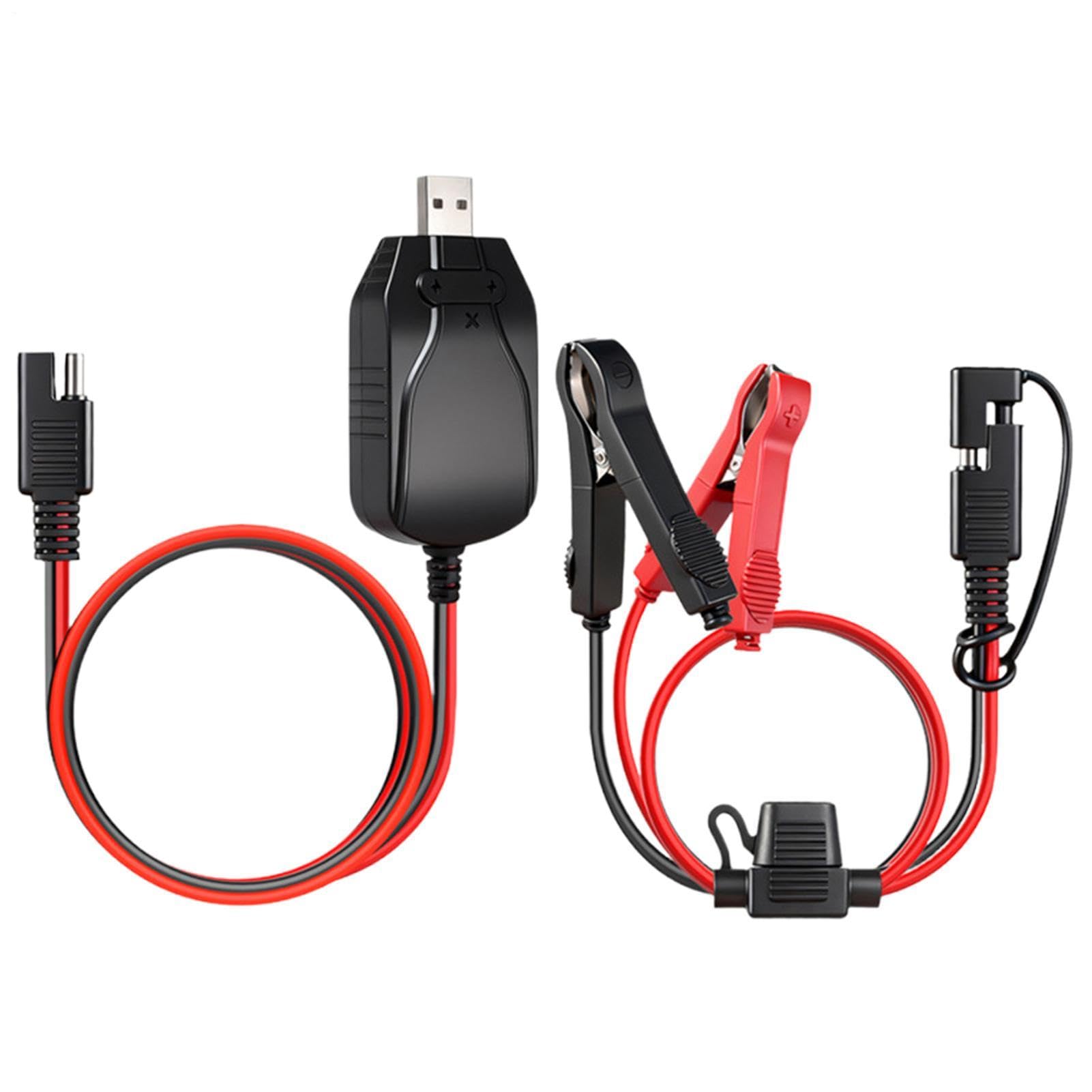 Chargeur de batterie de moto 12 V portable intelligent