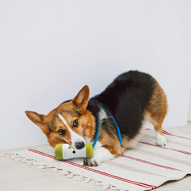 Foto 2 de 4 de AFP Juguetes Interactivos Para Perros Interactive Treat Frenzy Roll