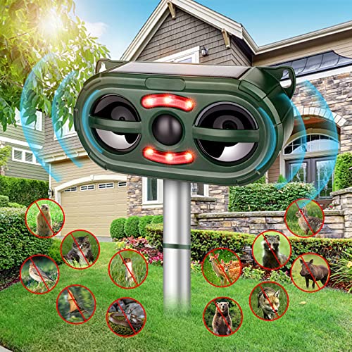 Find The Best Outdoor Cat Repellent Diy Reviews & Comparison Katynel