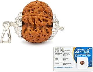 Gemsmantra 8 Mukhi Rudraksha Bead With Silver Pendant Original Nepali | Natural and Lab Certified | Represents Lord Ganesha, Enhances Wisdom, Success & Stability For Men & Women | Regular Size-picture-37