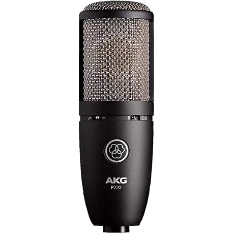 AKG Perception 220 Condenser Microphone