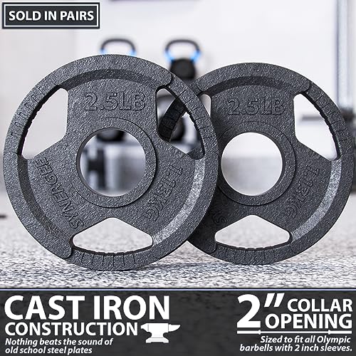 Synergee Cast Iron Weight Plates With 2” Opening For Bodybuilding, Olympic & Power Lifting Workouts. Metal Weight Plates 2.5Lb Pair #TOP1