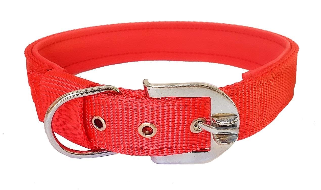 See full amazon price history chart for JAPIN Pure Nylon Pin-Buckle Dog Collar with Ultra-Soft Comfortable Padding Inside, Suitable for Large Dogs German Shephard, Boxer, Golden Retriever, Dalmatian, Doberman (Red) JAPIN Pure Nylon Pin-Buckle Dog Collar with Ultra-Soft Comfortable Padding Inside, Suitable for Large Dogs German Shephard, Boxer, Golden Retriever, Dalmatian, Doberman (Red) (B09WRF5XDN) Amazon Price History, Amazon Price Tracker