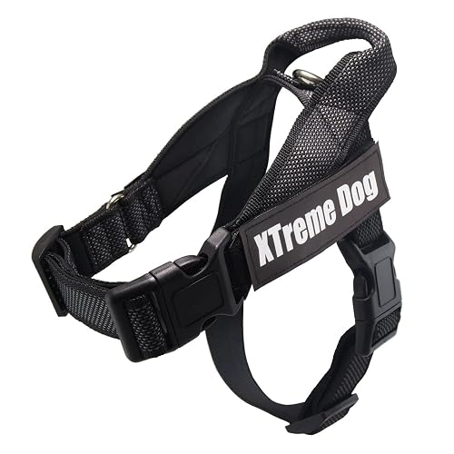 ARQUIVET Arnés para Perro Xtreme Dog Classic de Color Negro - L/63-81 cm - Ajustable, ergonómico y Resistente