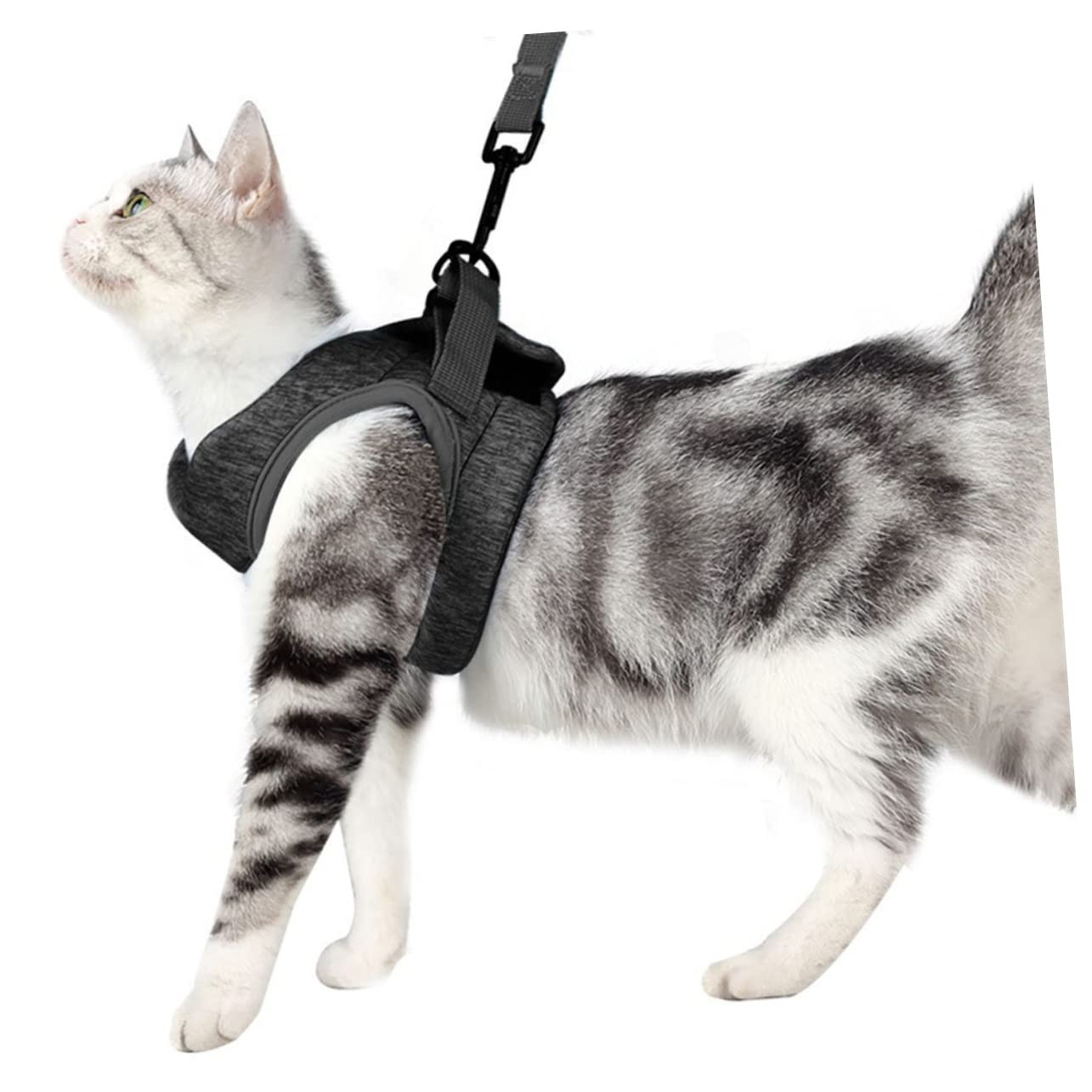 Happyyami 3pièces pour Chat Léger Et Confortable avec Laisse Réfléchissante Gilet De Traction Respirant pour Animaux