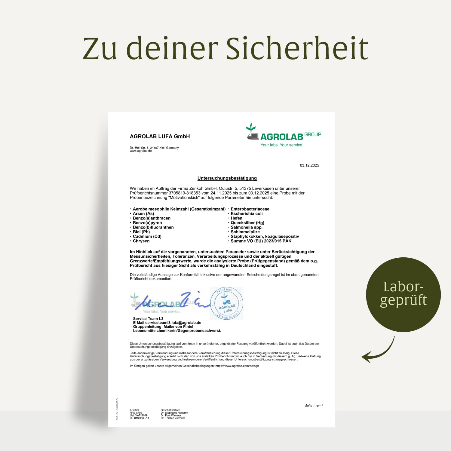 NATURTREU® Motivationskick - 500mg L-Tryptophan Kapseln | kombiniert mit L-Tyrosin & L-Phenylalanin - Vorteilsbundle 5er Paket - Vegan und in Deutschland produziert - Bausteinkomplex