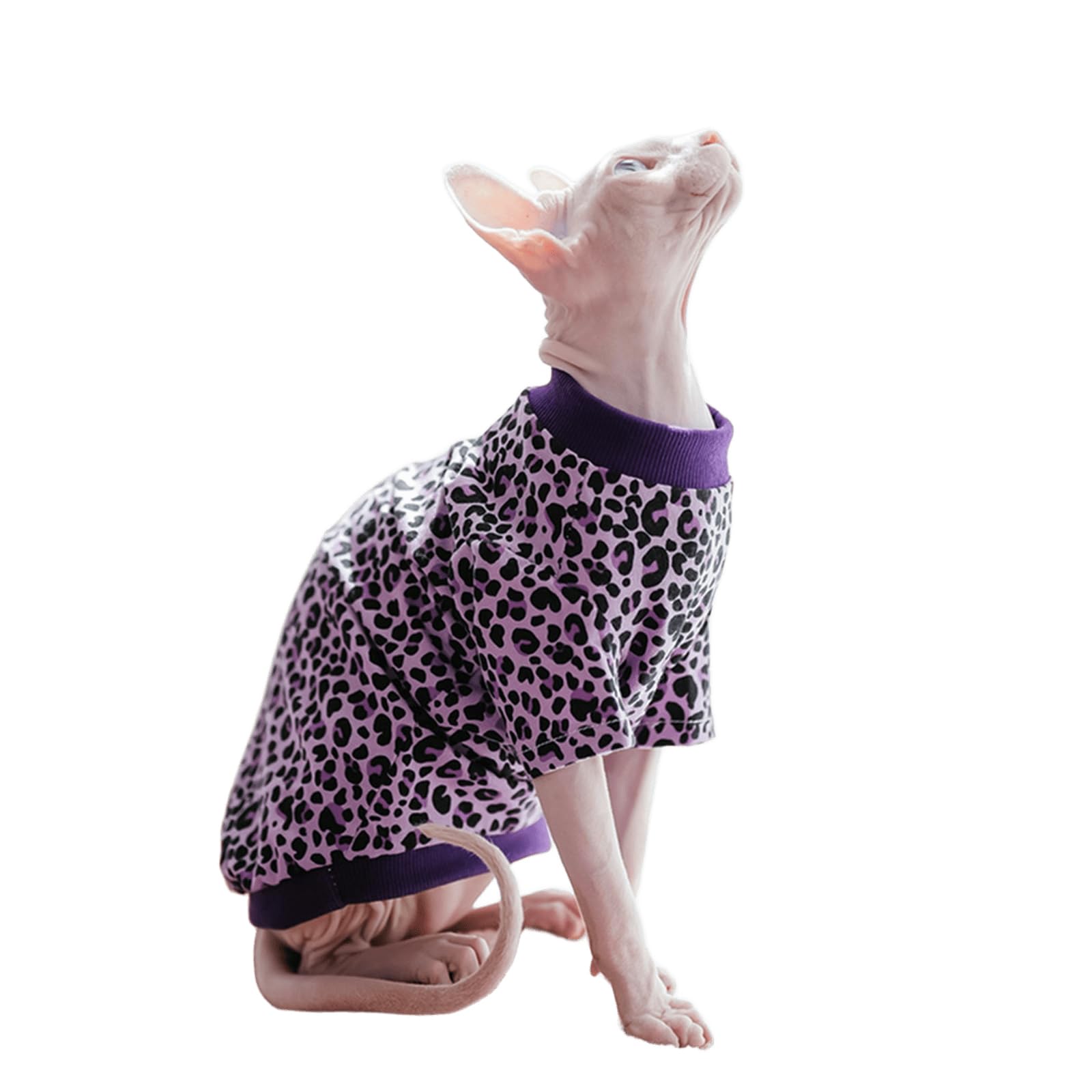 Pullover vêtements pour animaux de compagnie Sphynx coton léopard chat sans poils anti-irritation