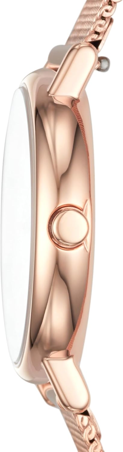 Skagen Women's Signatur Analog Stainless Steel Watch UK Ubuy