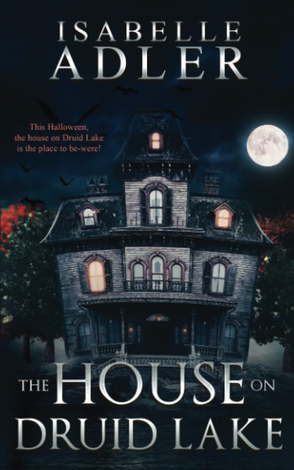 Buy The House on Druid Lake — BookShops.in