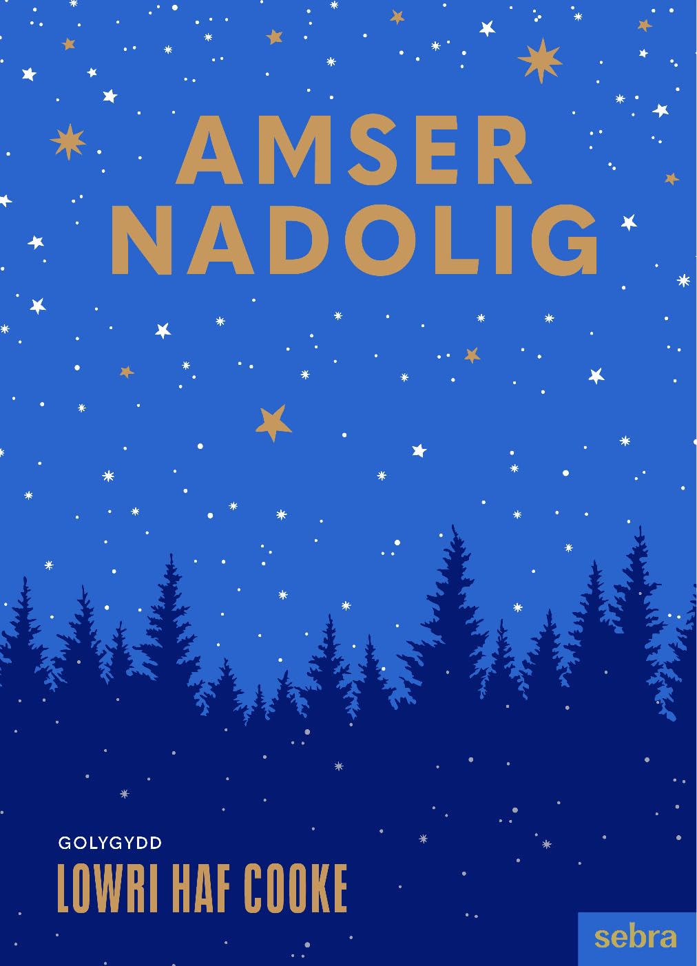Amser Nadolig by Lowri Cooke HARDBACK (WELSH) 9781835390122