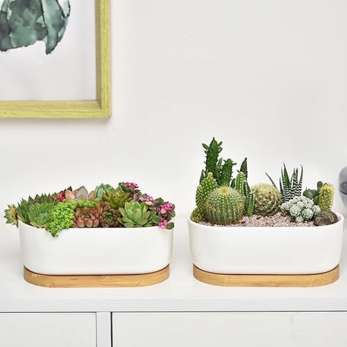 Miniatura 6 de Macetas de cerámica blanca para suculentas, macetas para plantas suculentas de interior y exterior, juego de 2 pequeños contenedores para cactus,