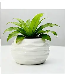 Vaso de cerâmica médio de 9 x 6,6 cm, para suculentas, mini lindo jardim, flor, berçário, suculenta, para plantas de interior, vasos de cerâmica, ondulação, 5