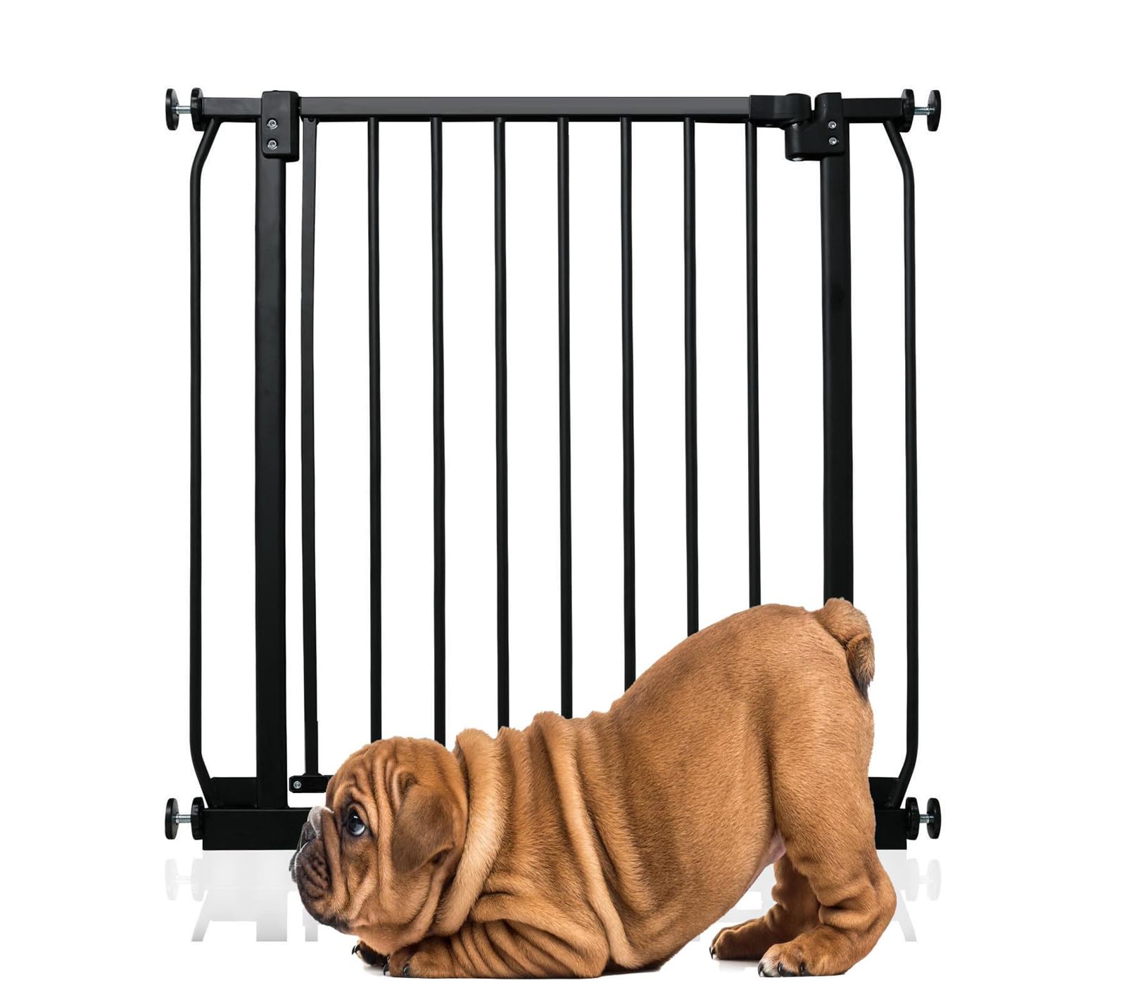 Bettacare Elite Pressure Dog Gate71Cm80CmMatt BlackPressure Fit Pet Gate For Dog And Puppy from B&Q
