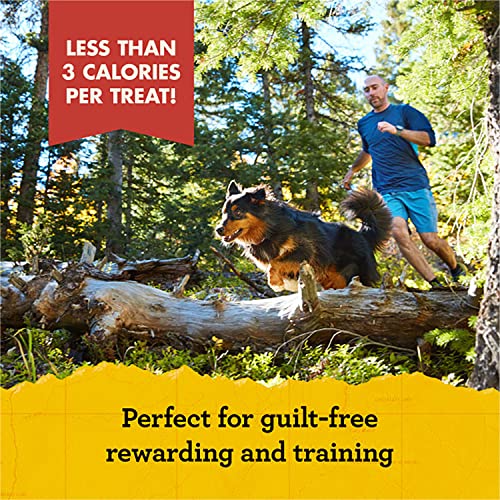 Zuke's Mini Naturals Dog Training Treats, Salmon Recipe, Soft Mini Dog Treats With Vitamins & Minerals, Made For All Breed Sizes, 6 Ounce Bag (Pack Of 3) #TOP4