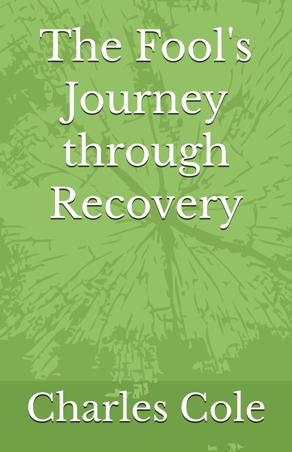 The Fools Journey Through Recovery