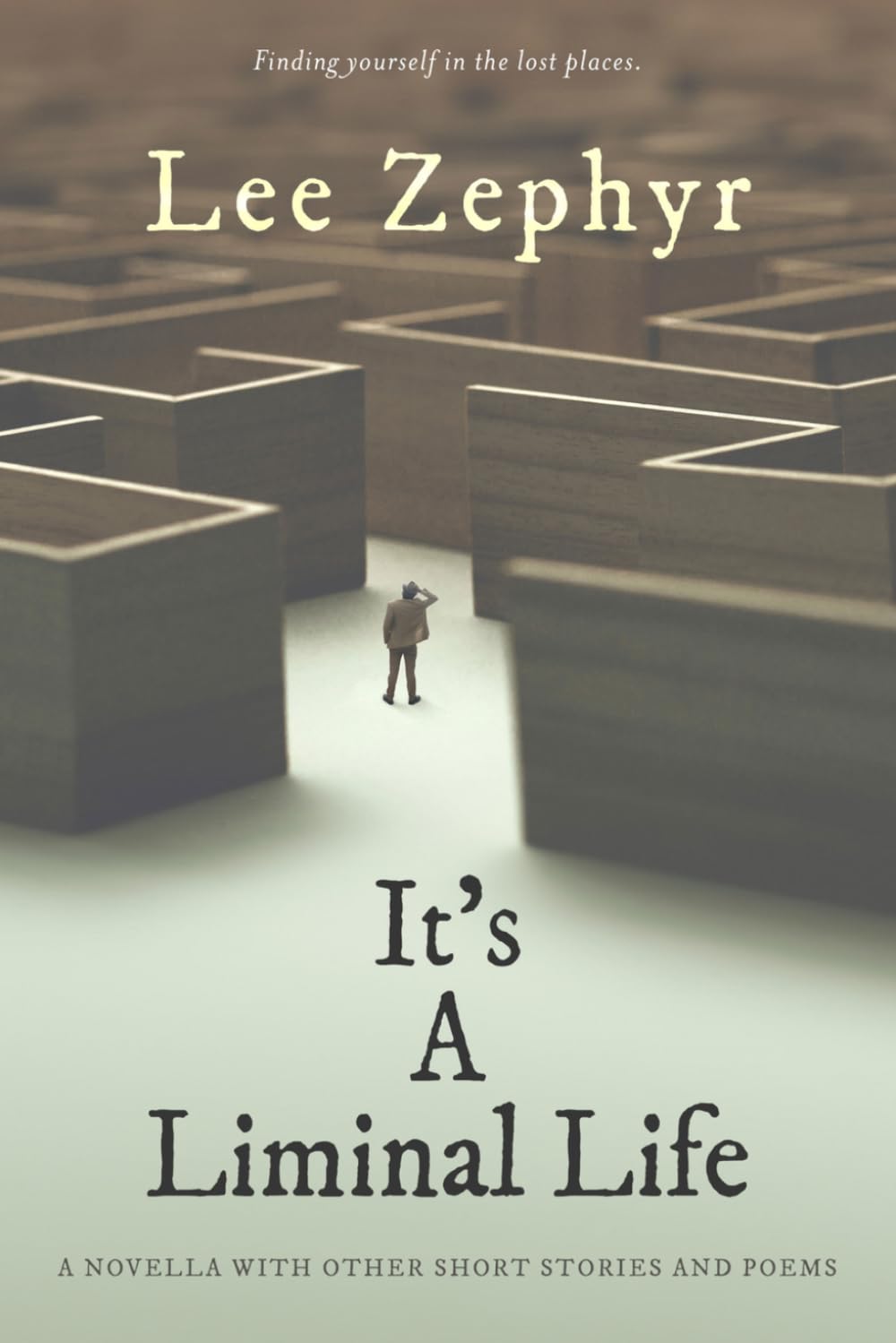 It's A Liminal Life: A novella with other short stories and poems