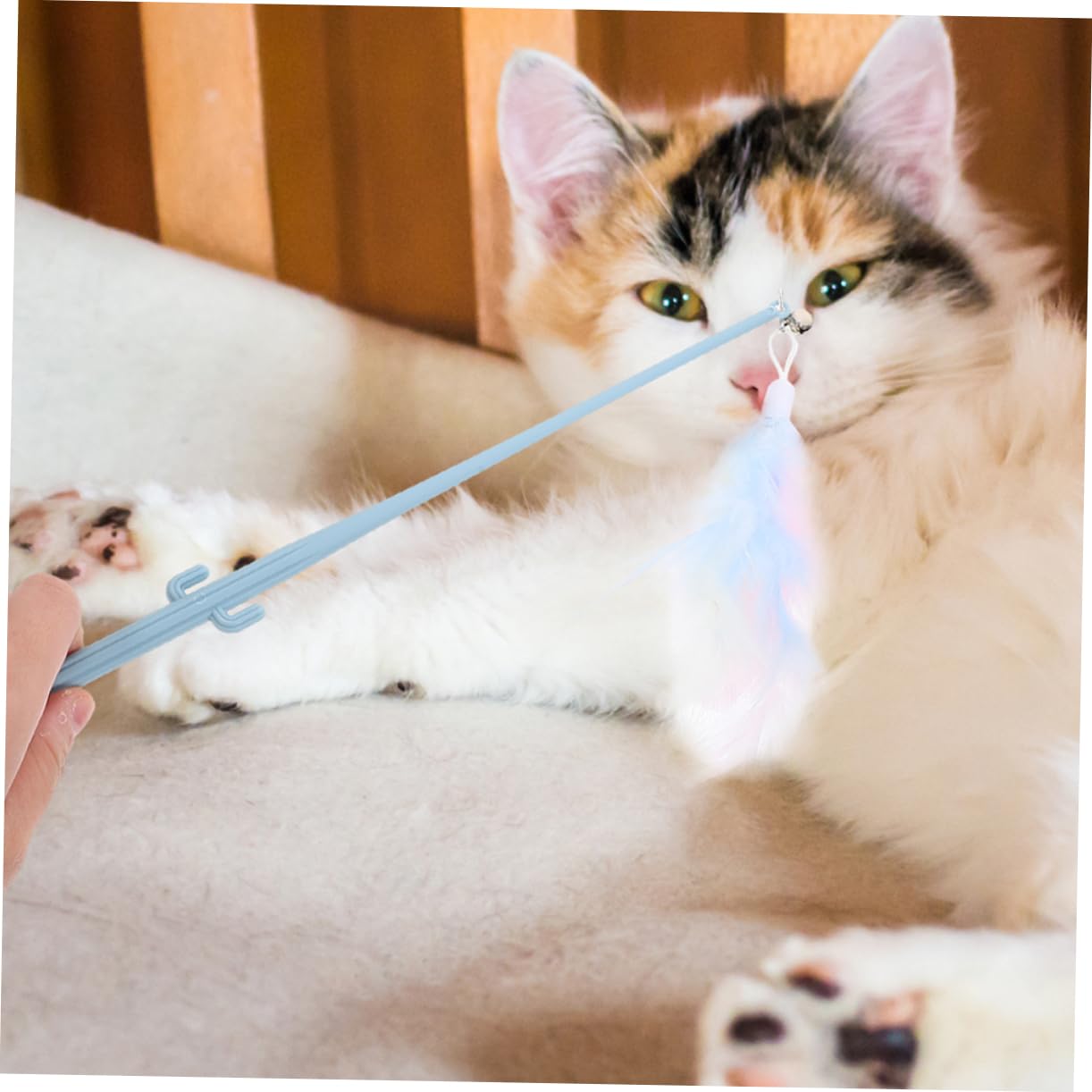 POPETPOP 20 Pièces Chat Teaser taquineries tentures Jouets pour Chats pour s d'intérieur taquin Cactus Canne à pêche Accessoires de Jouet pour la Plume