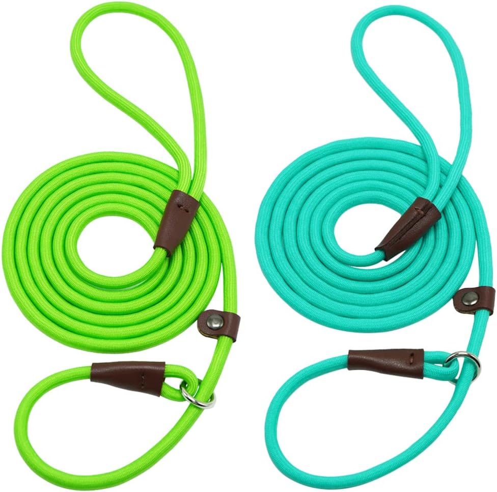 MayPaw 7FT Slip Lead Dog Leash, 1/4” Nylon Rope Leash for Small Medium Animals (Green, Turquoise)