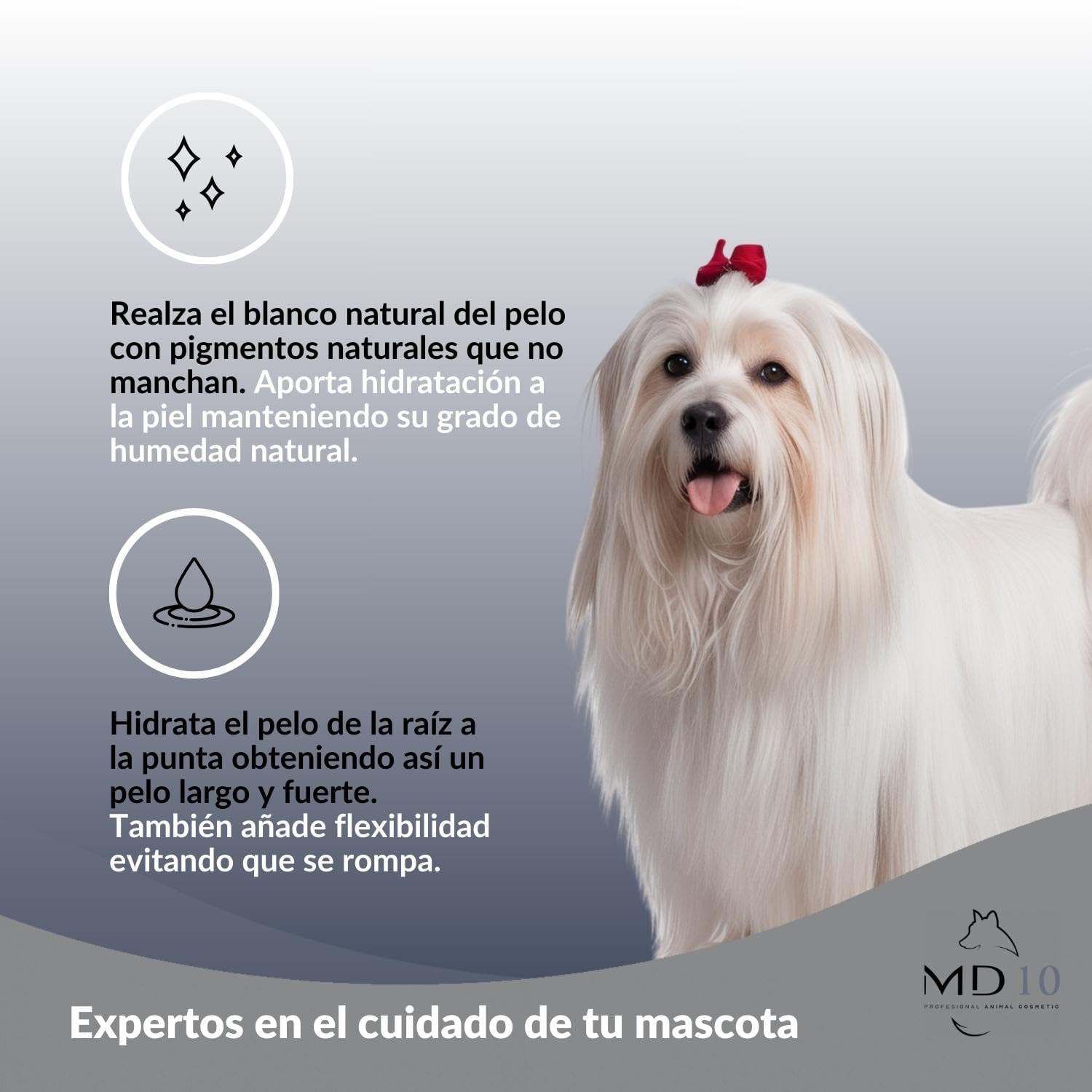 Champú para Bichón Maltés - Champú para Perros Hidratante y Dermoprotector con Vitamina D-Pantenol - Realza el Blanco Natural del Pelo - Vegano - Fabricado en España - 2 l - MD-10 COLLECTION