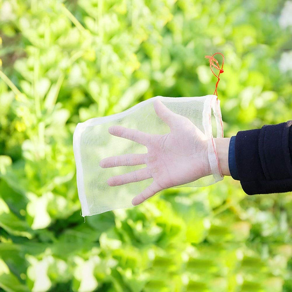 Bolsas de Malla Protectoras for Plantas, 50 Unidades, for Frutas y Verduras, Barrera contra plagas for árboles frutales y huertos (15 x 10 cm)(25x15cm)