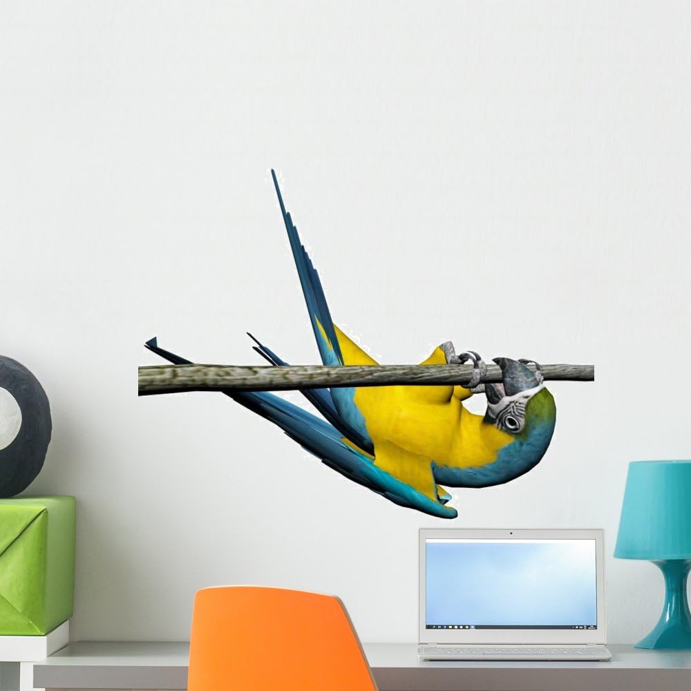 Macaw Parrot Over White Wall Decal Peel and Stick Animal Graphics (24 in H x 18 in W) WM333168