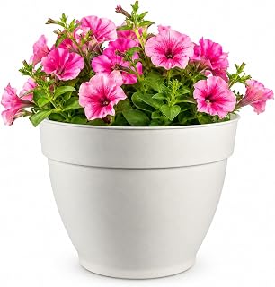Plastic Planter Pot 6 Inch Opening Diameter Cream Color Indoor Outdoor Container for Flowers Herbs Succulents Desktop Shelf Patio Use