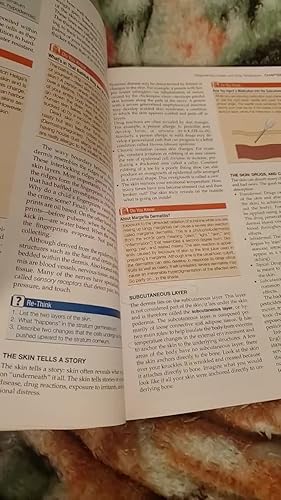 値下げ❗️The Human Body in Health and Illness The Human Body in Health and Illness: 9780323711265