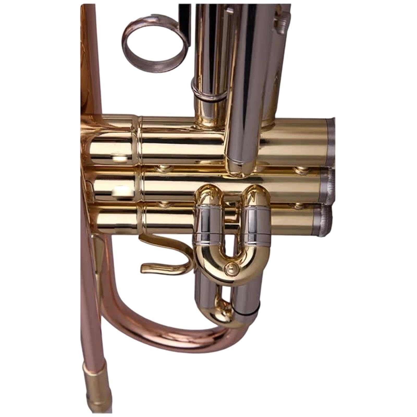 Standard Trumpet Trąbka Bb dla początkujących