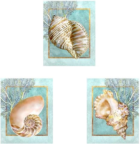 Amazon Com Turban Shell Nautilus Shell Conch Shell And Coral By Lori Shory 3 Piece Unframed Art Print Set 8 X 10 Inches Each Seashell Art Posters Prints