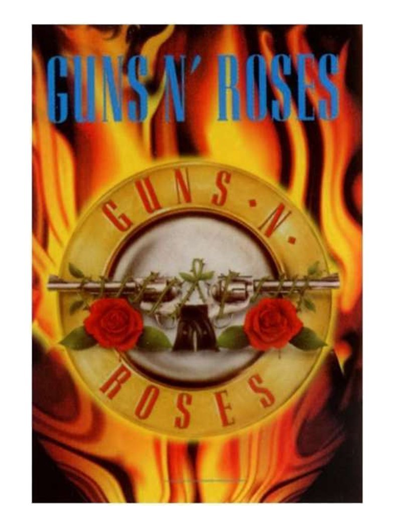 armardi Guns N Roses Flames Flag Poster