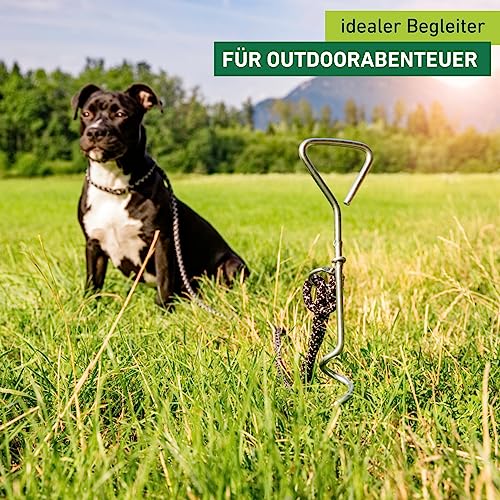 Windhager Bodenanker, Spiralhering, 41 cm, Durchmesser 8 mm, verzinktes Metall, 07134