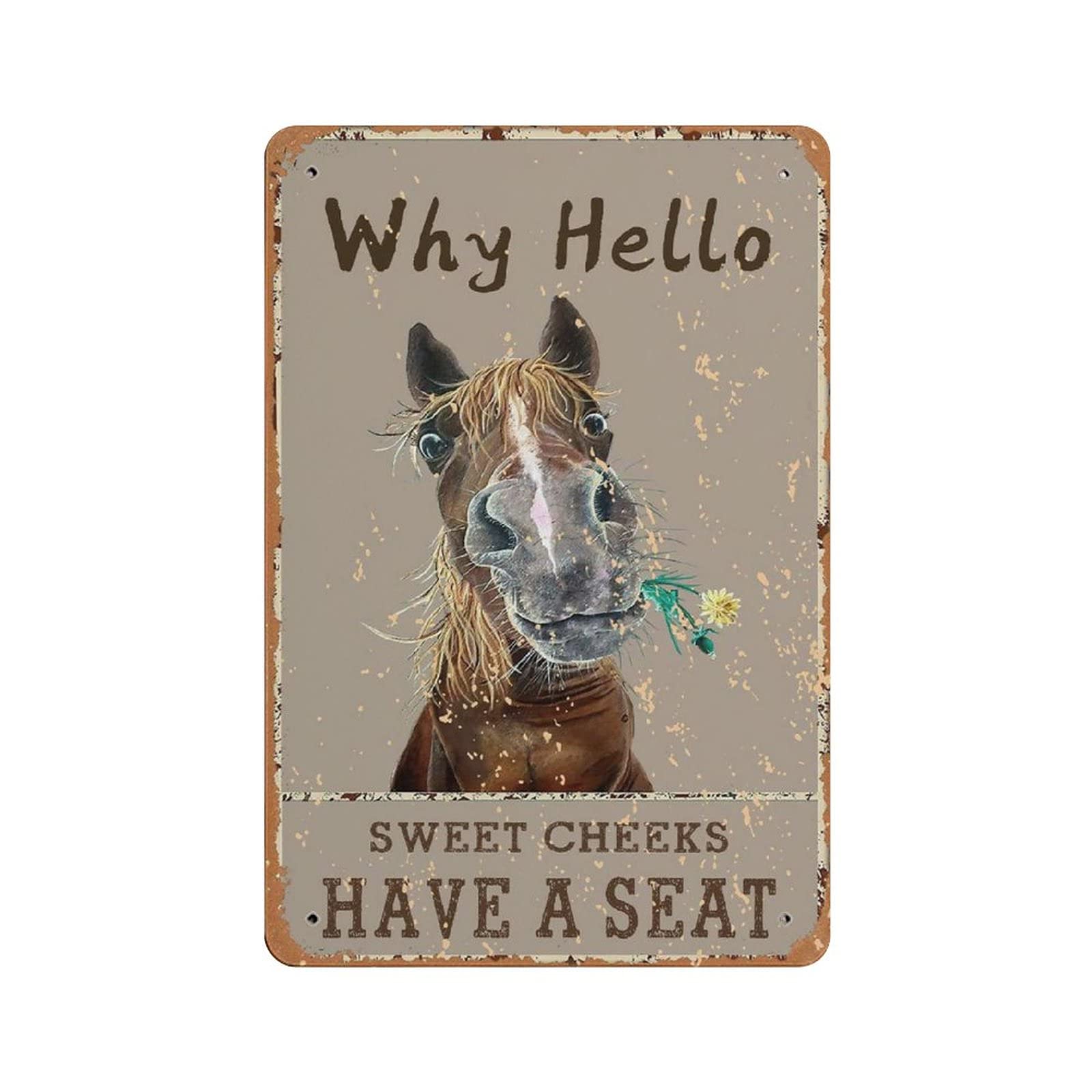 Hdadwy Sweet Cheeks Metal Tin Sign Vintage Tin Poster Metal Sign Wall Decoration Country Kitchen Home Garage Decor 12"X8"