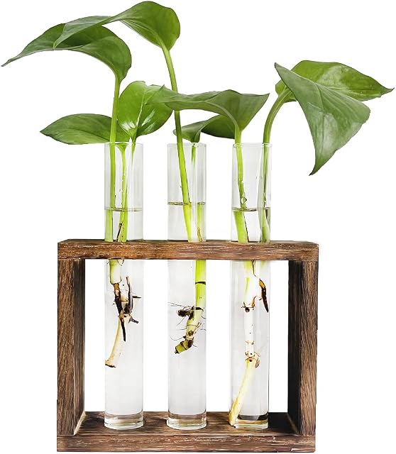 Pimaja Tube Propagation Station Wall Hanging Glass Vase in Wood Stand Rack Tabletop Terrarium with 3 Test Tube for Propagating Hydroponic Plants, Home Office Decoration