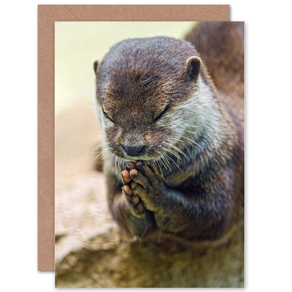Wee Blue Coo Blue Wee Coo Greetings Card Birthday Gift Animal Cute Otter Praying
