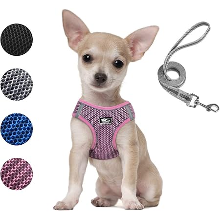lil pals harness