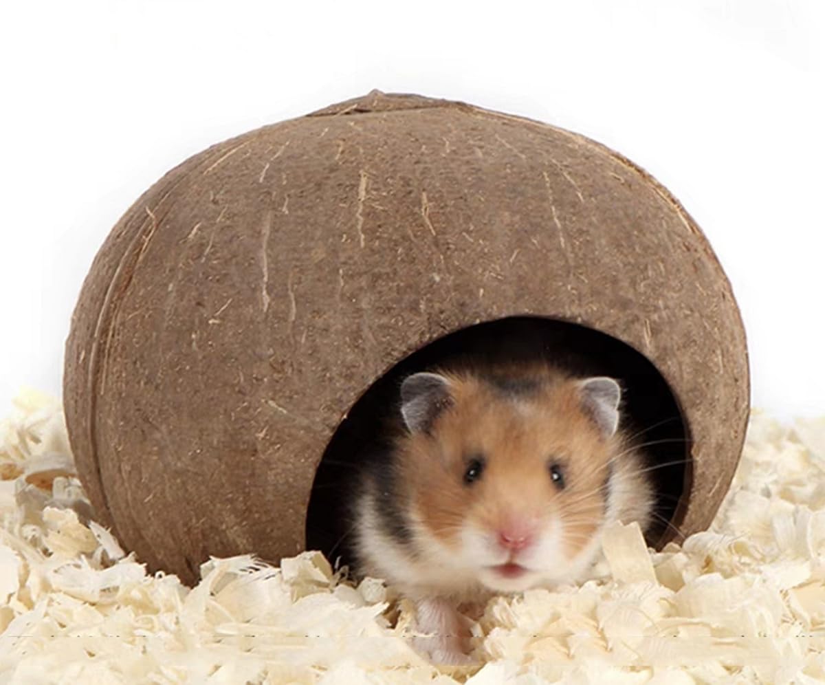ハムスター (インテリア) Amazon | BUCATSTATE ハムスター ハウス 隠れ家 屋根が開閉でき