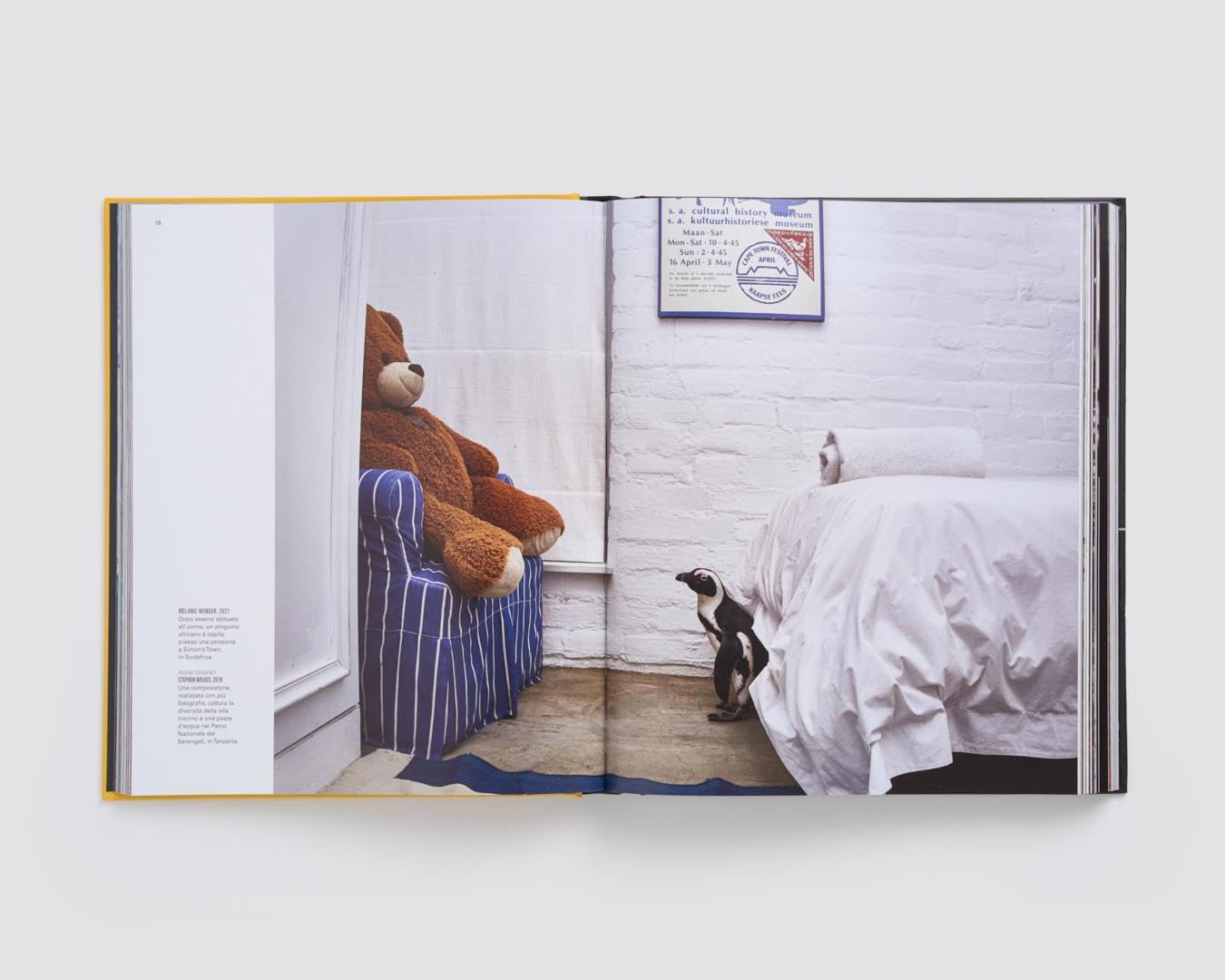 Le grandi fotografie di National Geographic. Ediz. a colori